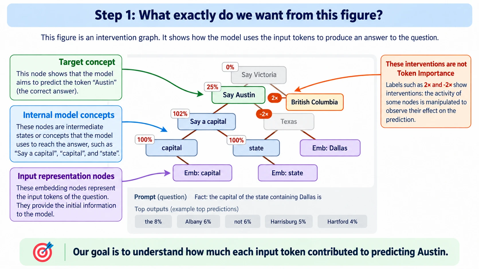 Step 1 diagram titled "What exactly do we want from this figure?". It shows an intervention graph for the prompt "Fact: the capital of the state containing Dallas is". Purple input-representation nodes (Emb: capital, Emb: state, Emb: Dallas) feed blue internal-concept nodes (capital, state, Say a capital, Texas), which lead to the green target node Say Austin. Nearby are Say Victoria and a British Columbia node, with intervention labels 2x and minus 2x and activation percentages (100%, 102%, 25%, 0%). A callout explains that these interventions are not token importance. The example top outputs are: the 8%, Albany 6%, not 6%, Harrisburg 5% and Hartford 4%. The banner reads: "Our goal is to understand how much each input token contributed to predicting Austin."
