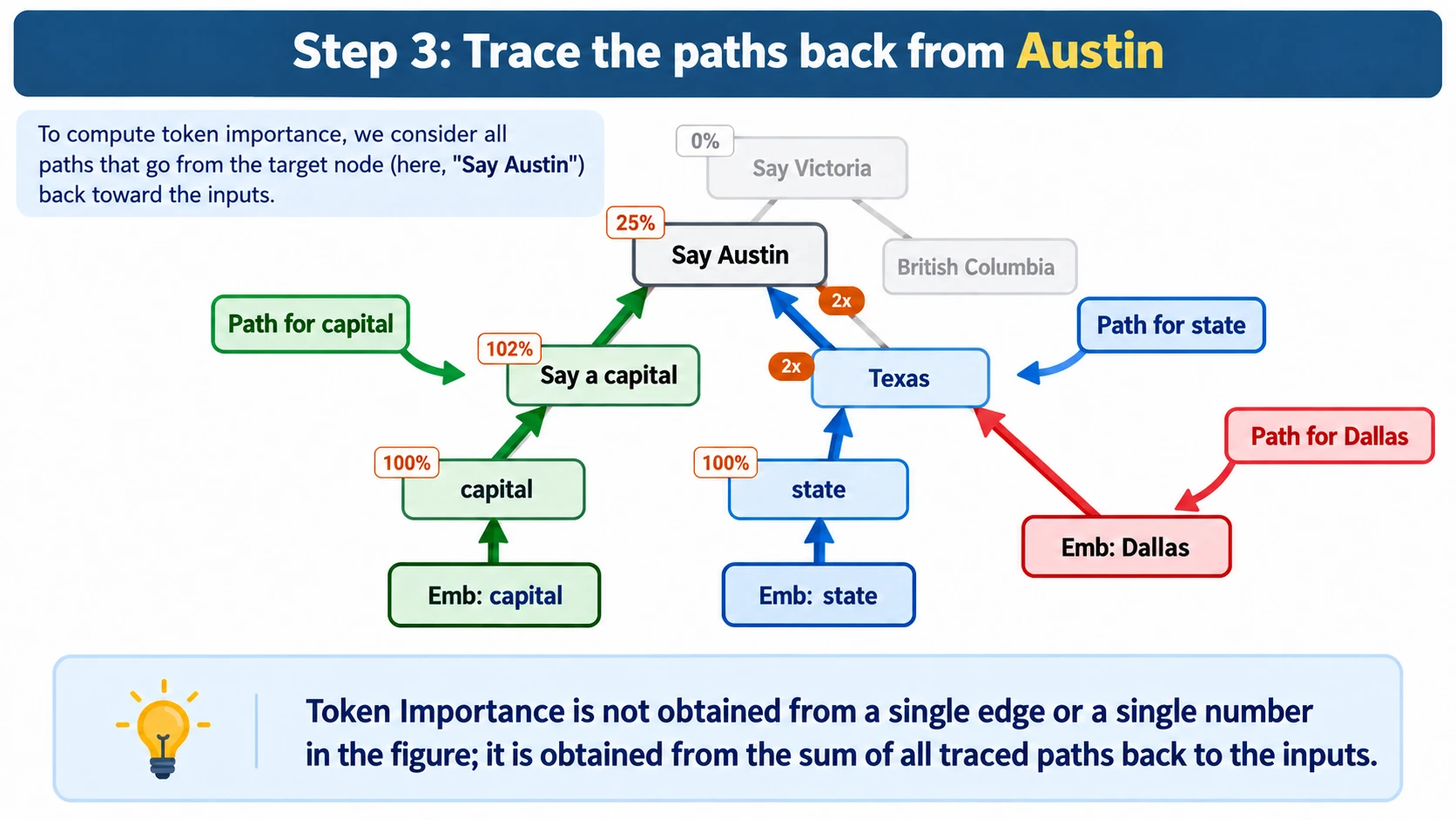 Step 3 diagram titled "Trace the paths back from Austin". Three colour-coded paths lead back from the Say Austin node to the inputs. The green path for capital runs Emb: capital, capital, Say a capital, Say Austin. The blue path for state runs Emb: state, state, Texas, Say Austin. The red path for Dallas runs Emb: Dallas, Texas, Say Austin. Say Victoria and British Columbia are faded. The banner reads: "Token Importance is not obtained from a single edge or a single number in the figure; it is obtained from the sum of all traced paths back to the inputs."
